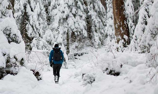 Tips for Winter Hiking and Backpacking