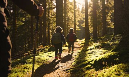 Hiking With Kids