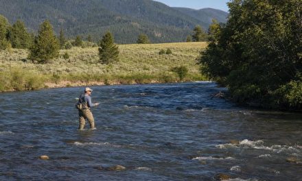 Best Time to Fish the Big Hole River, Season by Season
