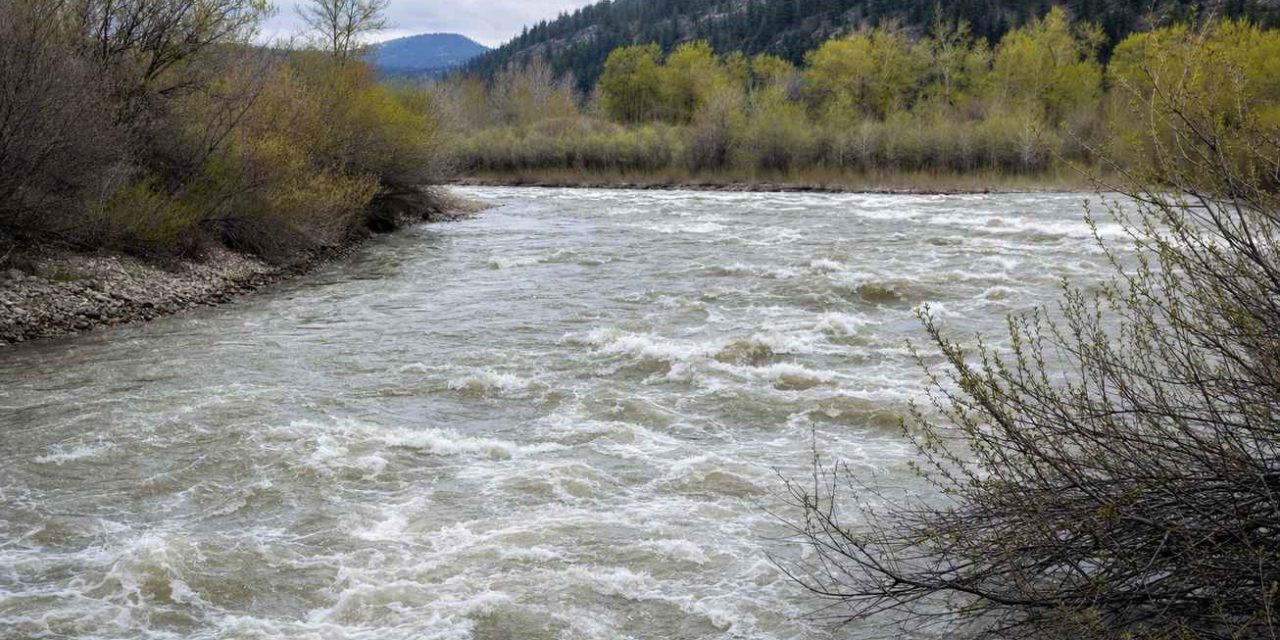 Big Hole River Flows by Month: What a Century of Data Says About When to Fish
