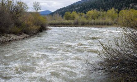 Big Hole River Flows by Month: What a Century of Data Says About When to Fish